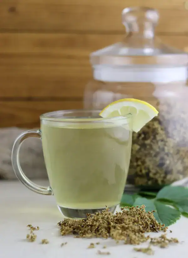 elderflower tea