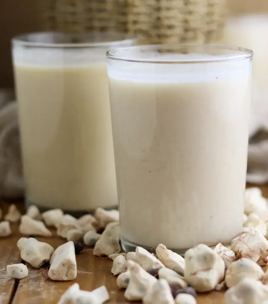 Two glasses of freshly made baobab juice from baobab powder with baobab fruit pulp in the background. 