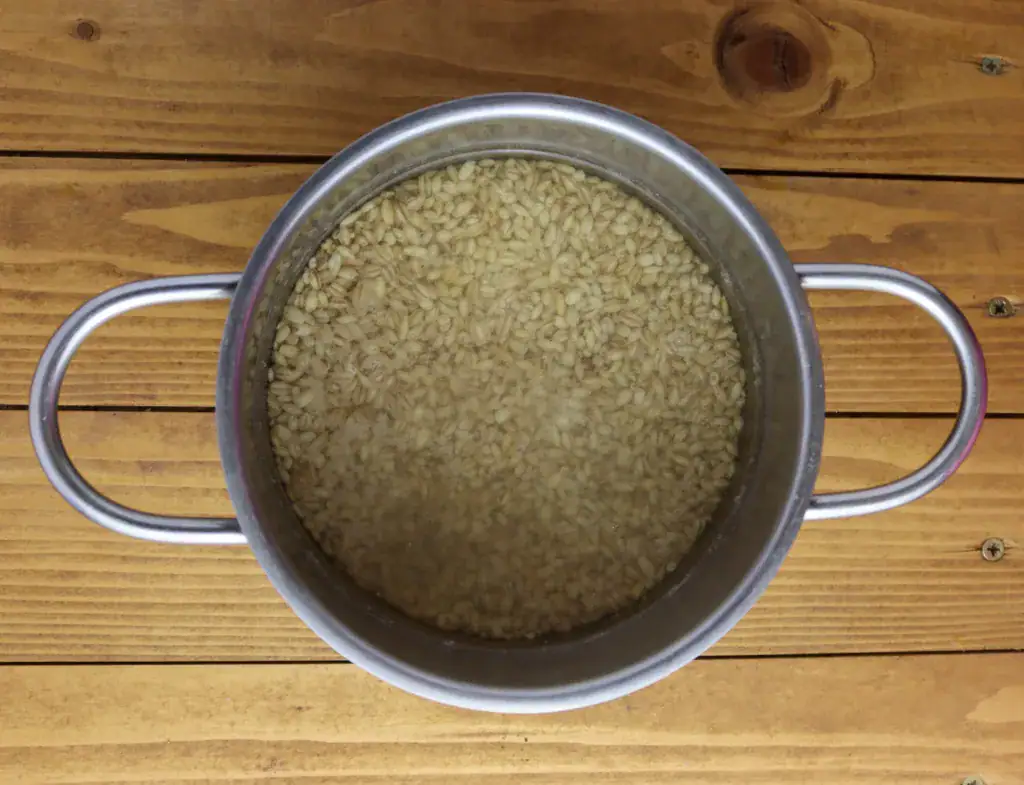 step two: soaking barley three hours before cooking