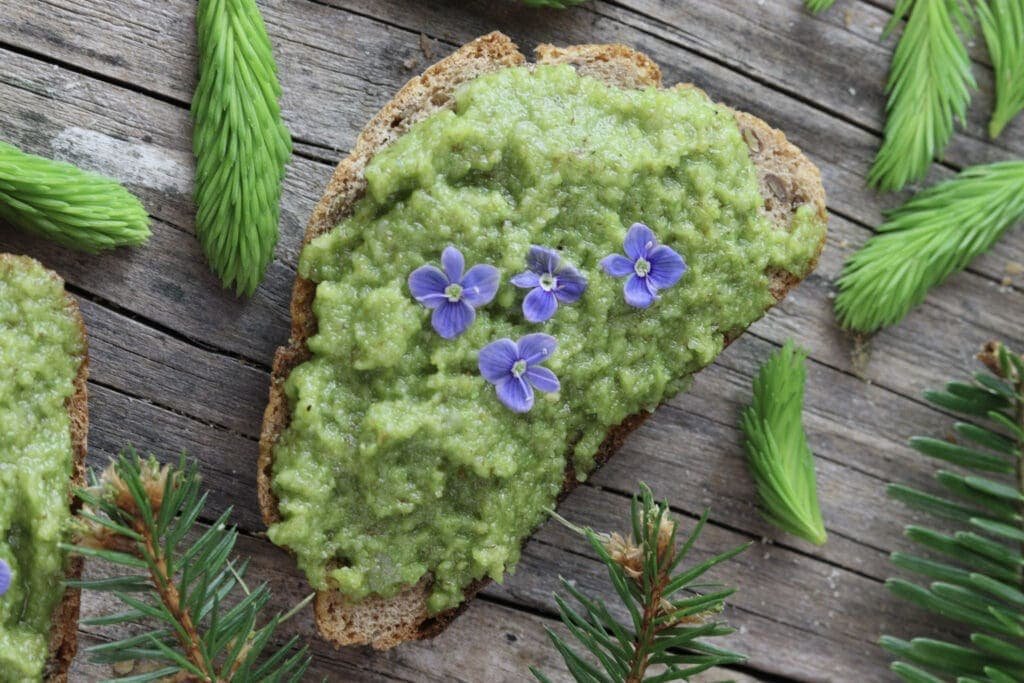 A slice of bread with spruce tip pesto.