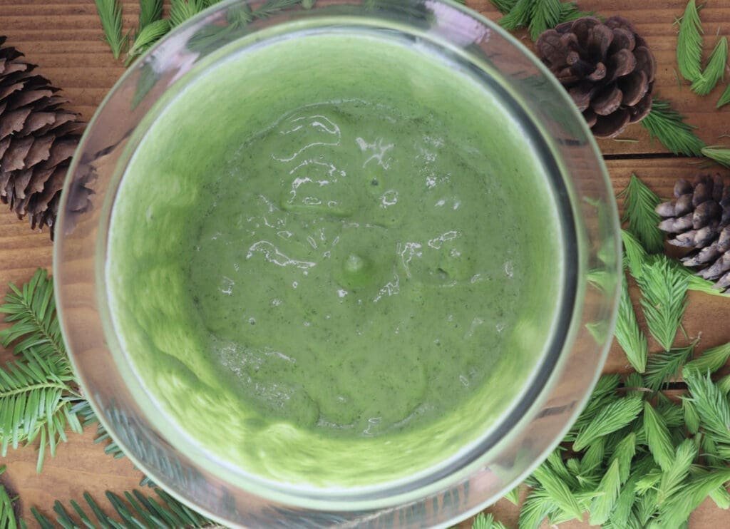 Image of spruce tip cream mixture in a blender. 