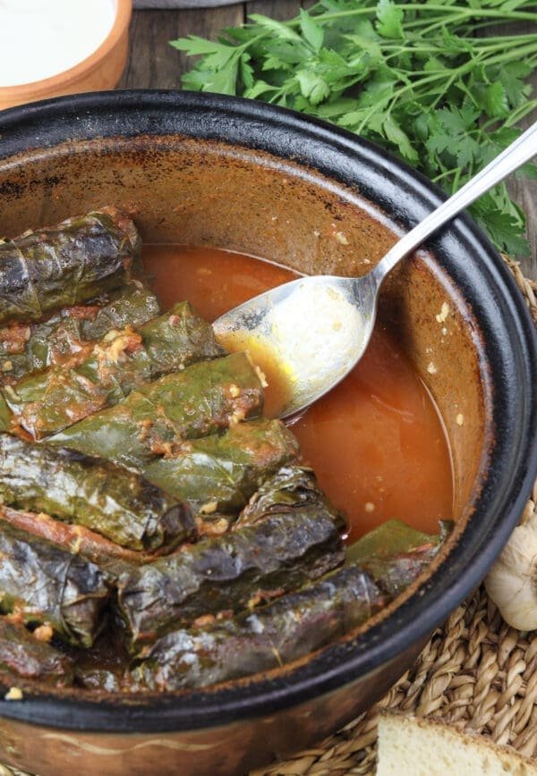 Delicious baked japrak - stuffed grapevine leaves - in tomato sauce.