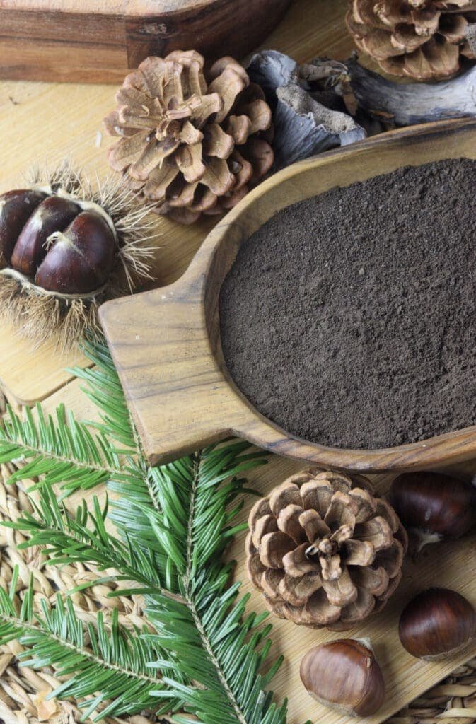 A wooden bowl full of dried black trumpet mushroom powder that's full of umami and wonderful mushrooms flavor.