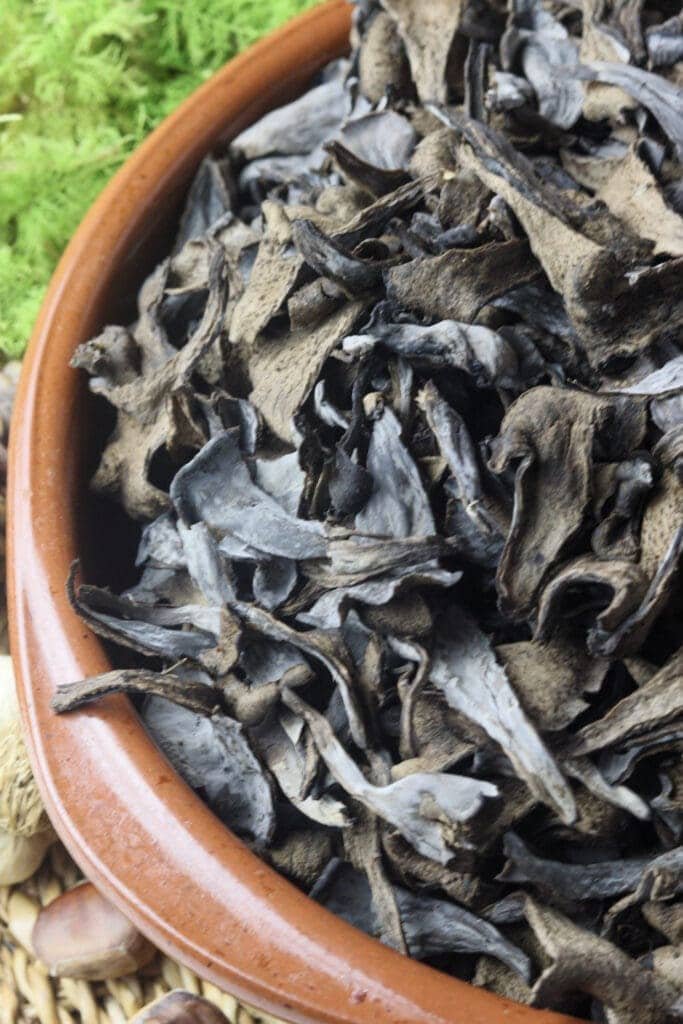 Black trumpet mushrooms cleaned before they're getting dried and milled into black trumpet mushroom powder.