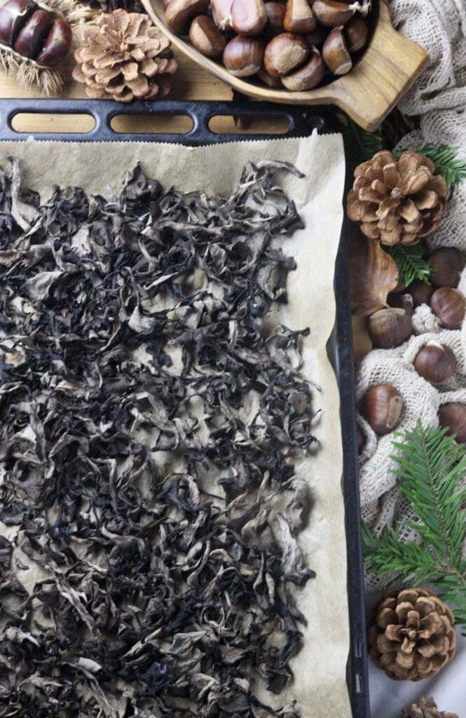 How to place pieces of dried black trumpet mushrooms on a baking sheet for a final bake before grinding them to black trumpet powder