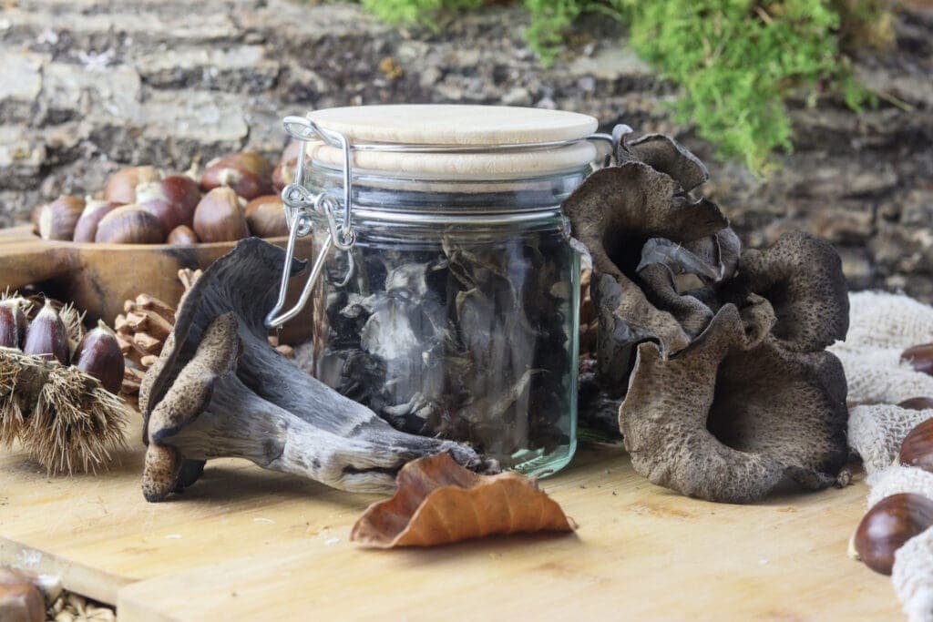 A jar of dry black trumpet mushrooms with fresh mushrooms and chestnuts in the background