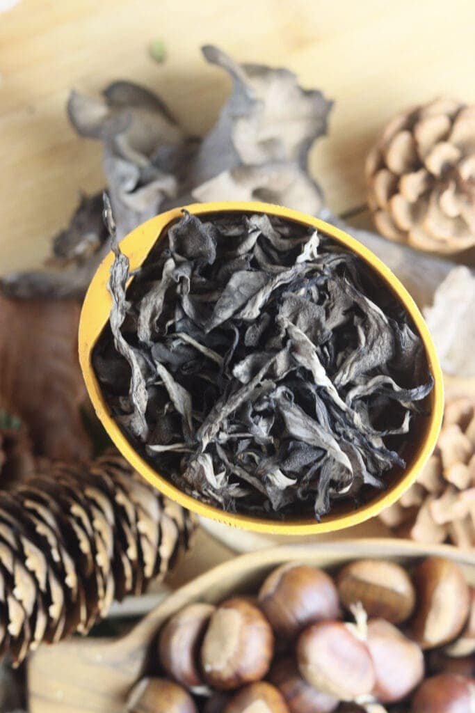 Black trumpet mushrooms in a coffee grinder waiting to be ground into black trumpet powder