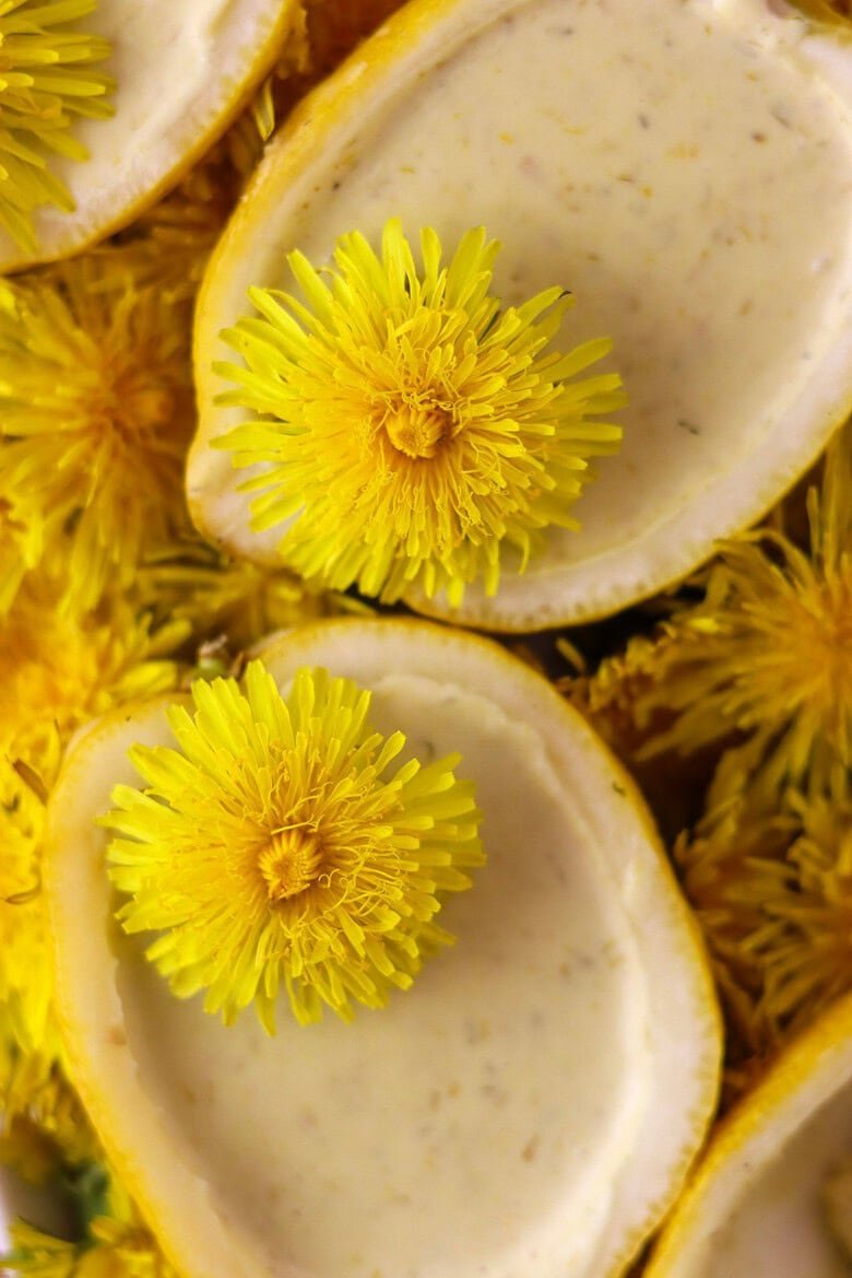 Lemon dandelion flower dessert - similar to a posset, with dandelion petals and dandelion flowers on top.