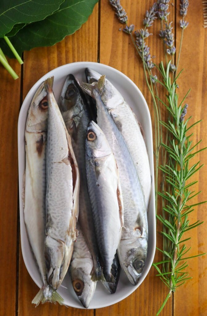 Chub mackerels on a large plate, cleaned and ready for grilling, with fig leaves and rosemary in the background.