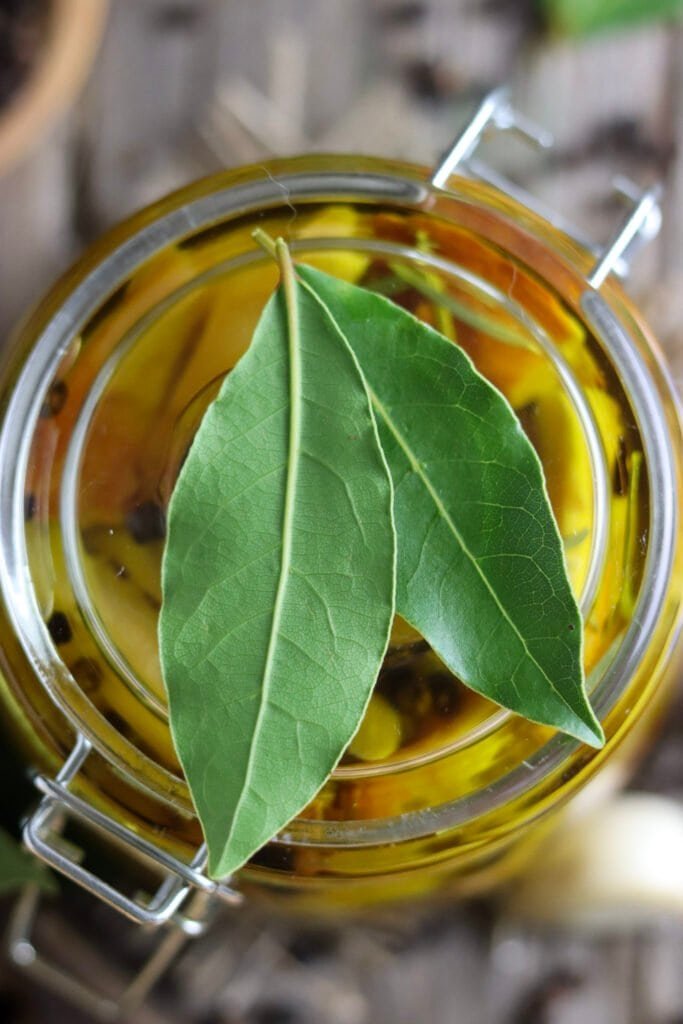 Top view of a closed jar with pickled chicken of the woods mushroom with two bay leaves on top of the jar.