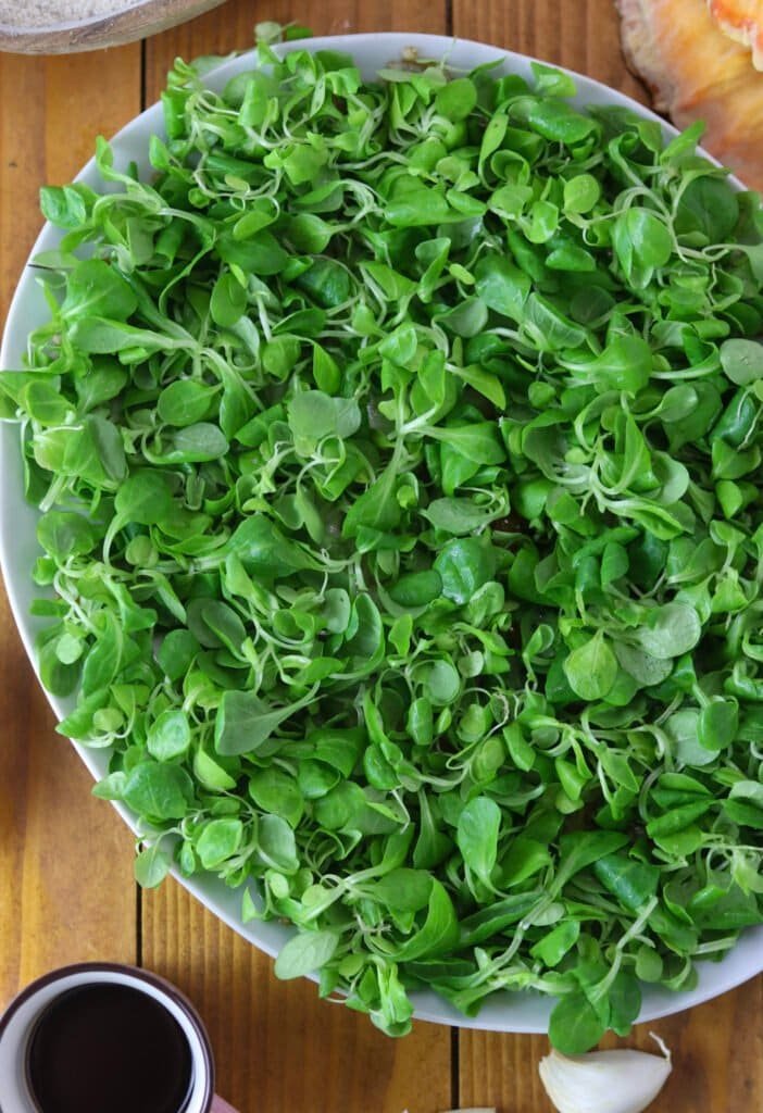 Lamb's lettuce covering a white plate.