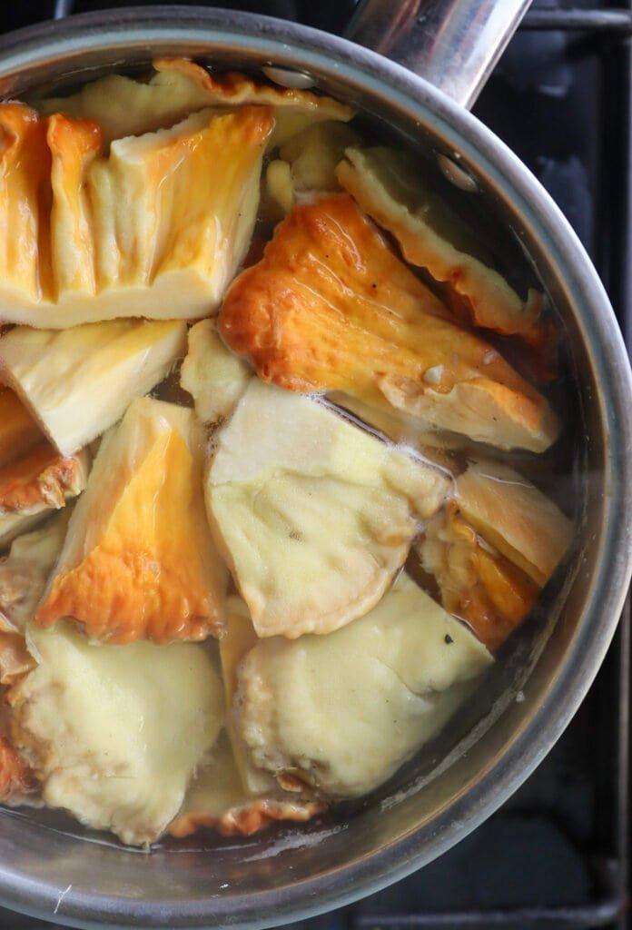 Boiling pieces of chicken of the woods mushroom in a pot on a cooking stove.