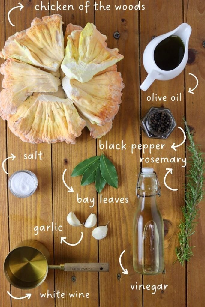 Mise en place for pickled chicken of the woods preserves: chicken of the woods mushroom, olive oil, vinegar, white wine, bay leaves, salt, garlic, rosemary and whole black pepper.