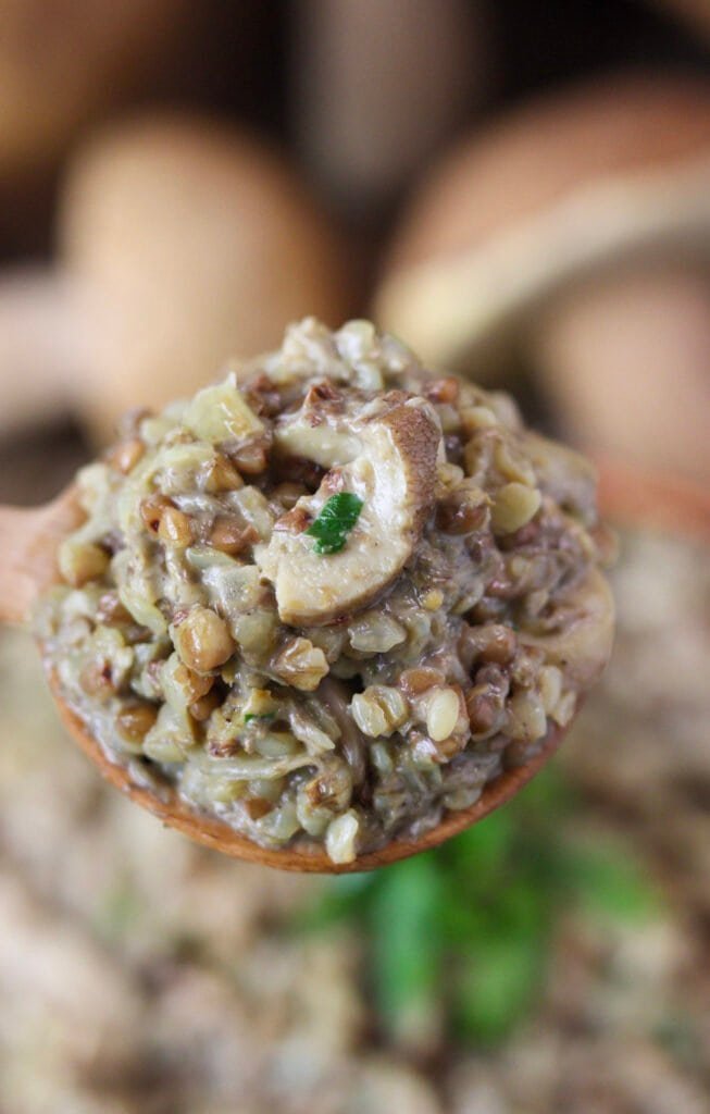 Spoonful of creamy buckhweat with porcini mushrooms, with visible pieces of cooked porcini and buckwheat seeds.