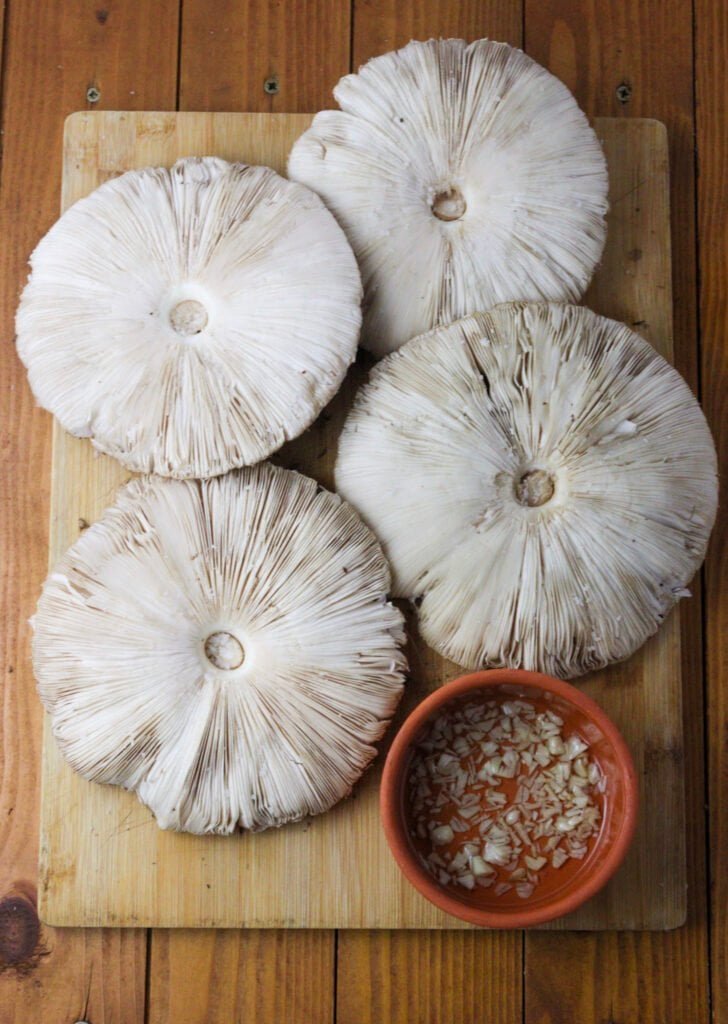 Cleaned parasol mushrooms getting ready to become little pizzas.