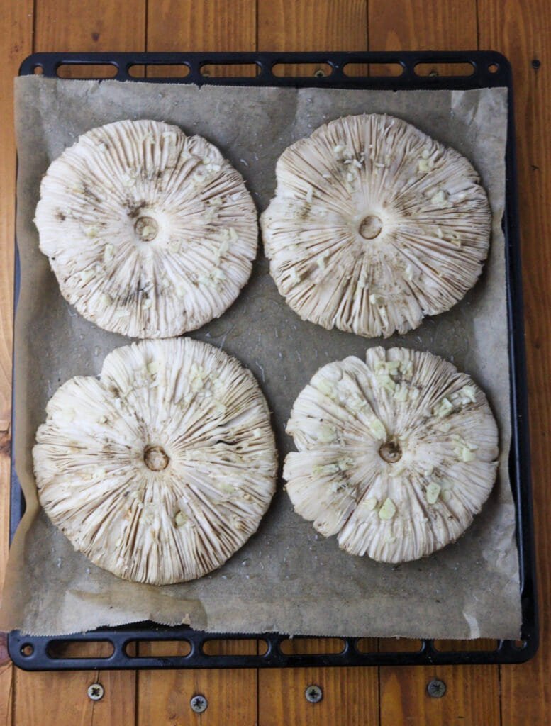 Cleaned parasol mushrooms on a baking sheet, topped with garlic, salt and black pepper.