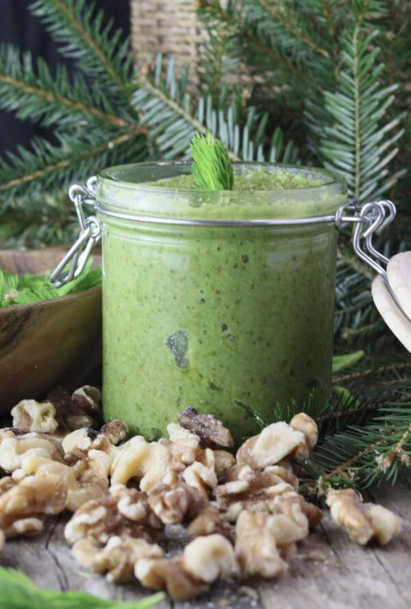 Image of spruce tip pesto in a jar, topped with a fresh spruce tip