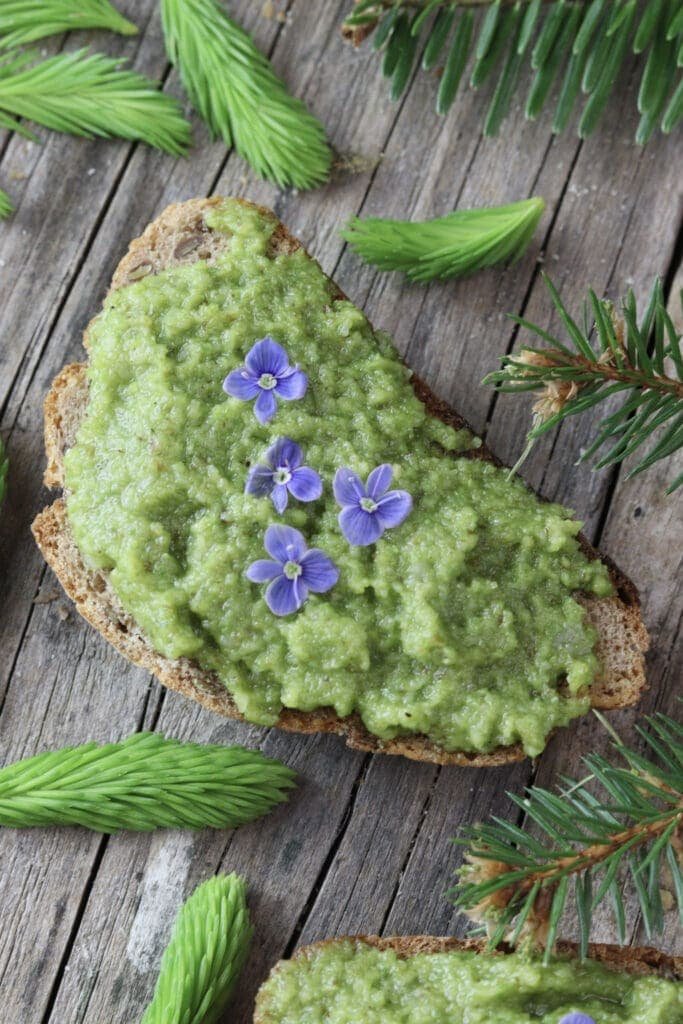 Image of spruce tip pesto on homemade bread. 